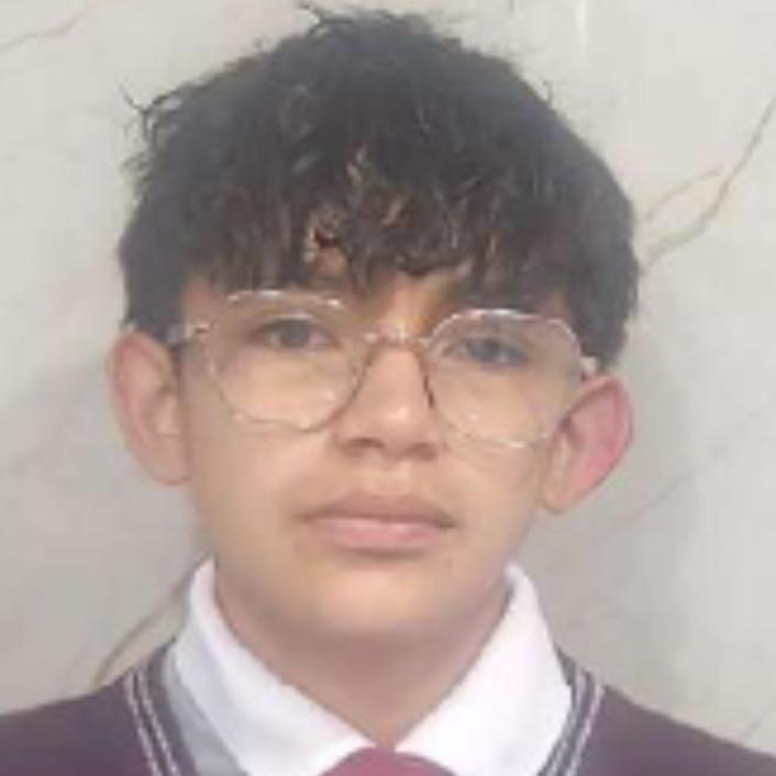 User Image