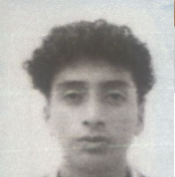 User Image